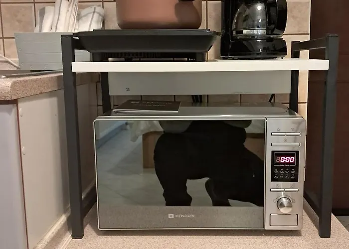 Hiddengem * 科扎尼